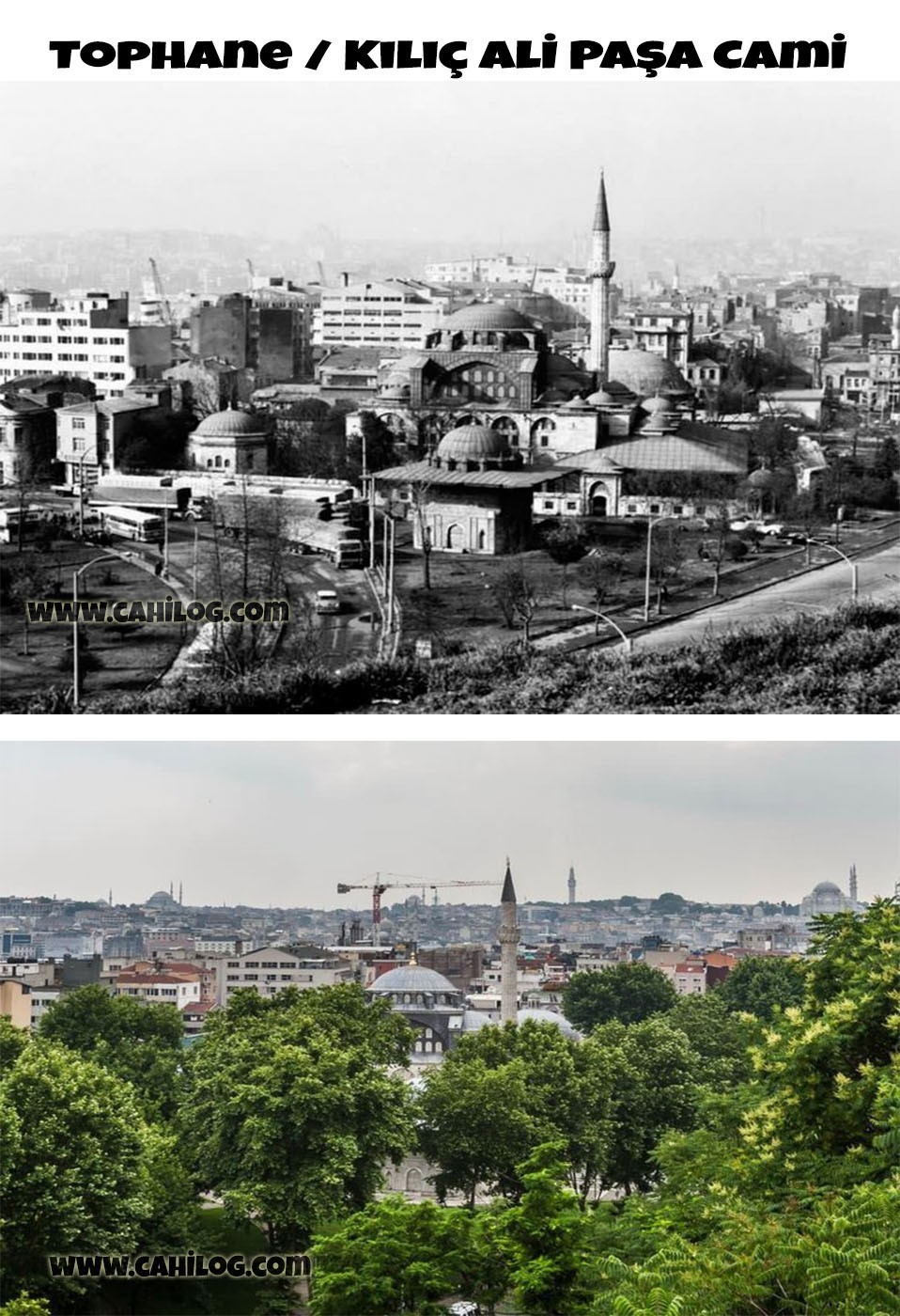 TOPHANE