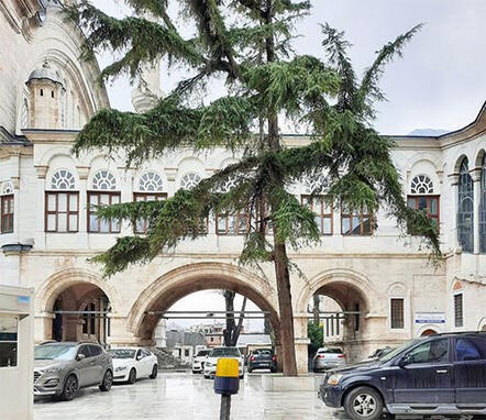 VANDALİZM SARDI