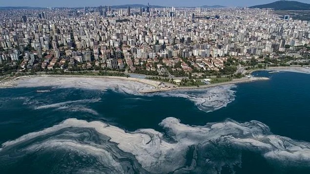“Deniz salyasını da bitirecek”